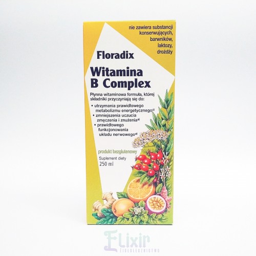 Witamina B complex 250 ml Floradix